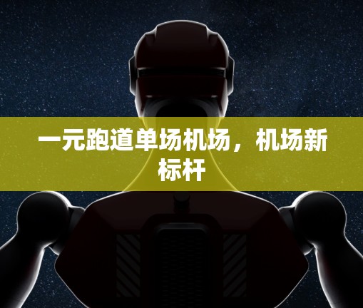 一元跑道单场机场,机场新标杆 一元跑道单场机场,机场新标杆