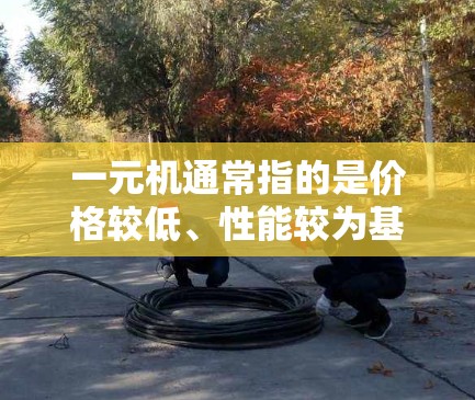 一元机通常指的是价格较低、性能较为基础的笔记本电脑，适合在机场或公共场所使用，比如用于办公、学习或娱乐。以下是一元机的常见类型及其特点
