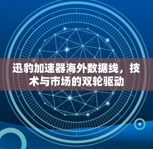迅豹加速器海外数据线，技术与市场的双轮驱动