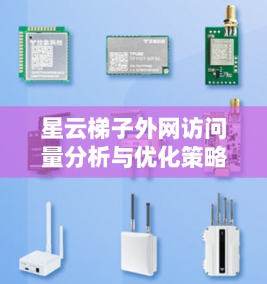 星云梯子外网访问量分析与优化策略