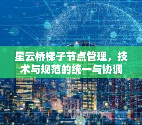 星云桥梯子节点管理，技术与规范的统一与协调