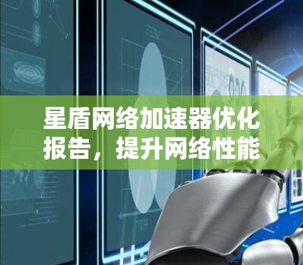 星盾网络加速器优化报告，提升网络性能的实用方法