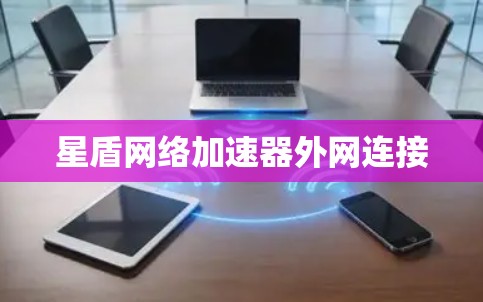星盾网络加速器外网连接