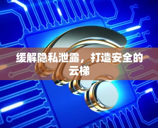 缓解隐私泄露，打造安全的云梯