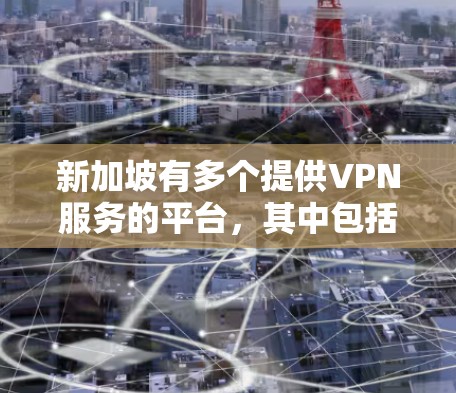 新加坡有多个提供VPN服务的平台，其中包括本地化服务和国际化的VPN服务。以下是一些新加坡VPN相关的平台和信息，帮助您更好地了解新加坡VPN服务