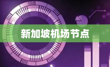 新加坡机场节点