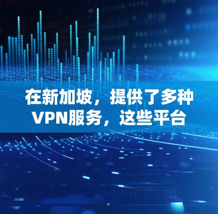 在新加坡，提供了多种VPN服务，这些平台通常基于新加坡电信公司（STT）提供的网络基础设施和新加坡政府提供的服务。以下是一些新加坡VPN连接平台