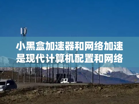 小黑盒加速器和网络加速是现代计算机配置和网络优化中的关键工具，它们结合使用可以显著提升系统的性能和用户体验。以下是对这两个概念的详细分析