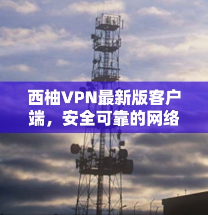 西柚VPN最新版客户端，安全可靠的网络连接
