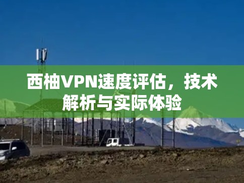 西柚VPN速度评估，技术解析与实际体验