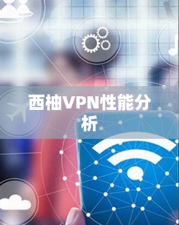 西柚VPN性能分析