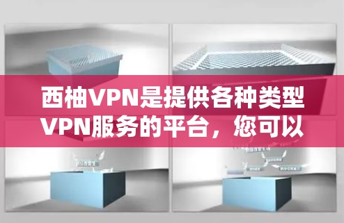 西柚VPN是提供各种类型VPN服务的平台，您可以根据您的需求选择适合的VPN服务提供商，例如