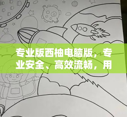 专业版西柚电脑版，专业安全、高效流畅，用它轻松保障您的网络环境