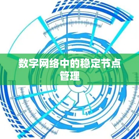 数字网络中的稳定节点管理