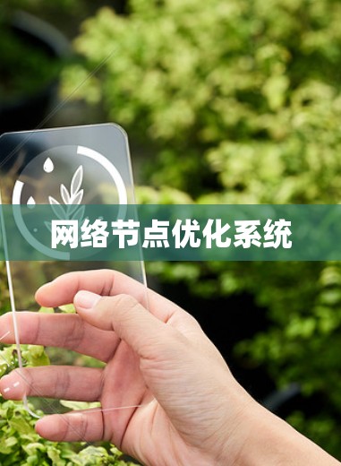 网络节点优化系统