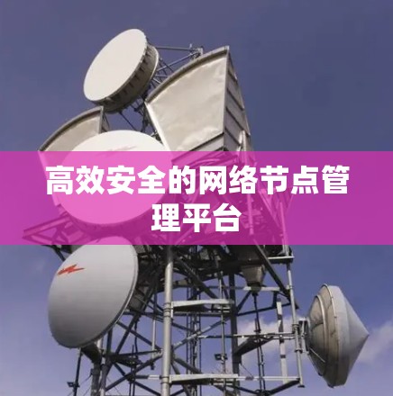 高效安全的网络节点管理平台