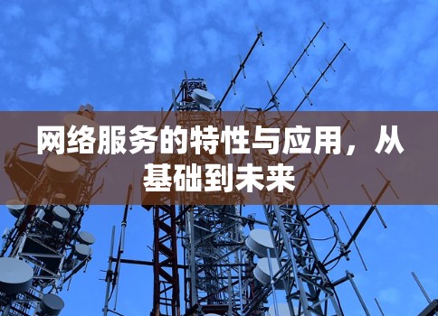 网络服务的特性与应用，从基础到未来