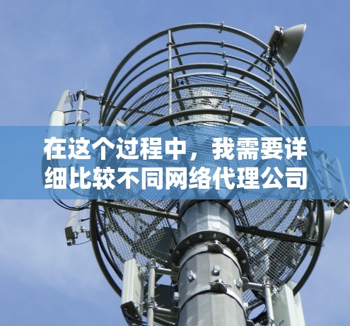 在这个过程中，我需要详细比较不同网络代理公司的服务，以找到最适合我的选项。以下是逐步的比较和总结
