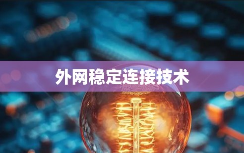 外网稳定连接技术