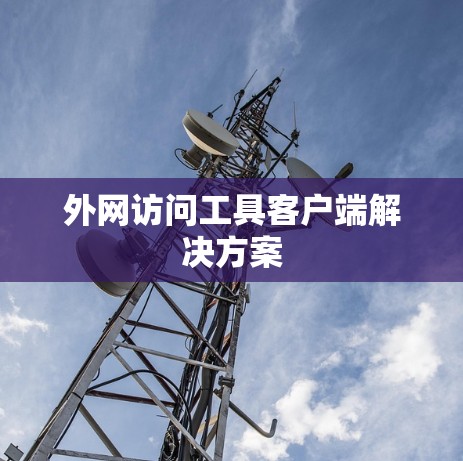 外网访问工具客户端解决方案