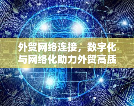 外贸网络连接，数字化与网络化助力外贸高质量发展