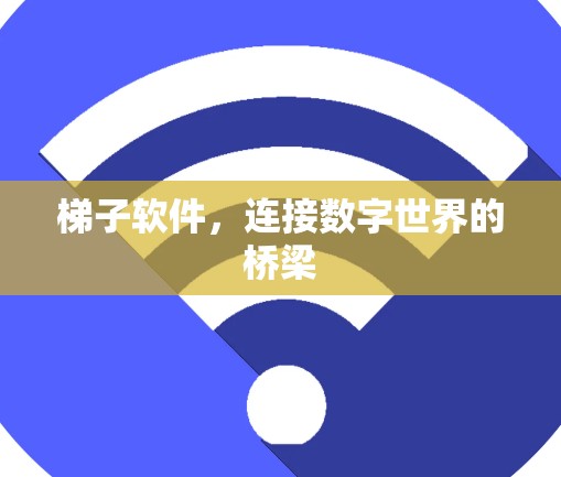 梯子软件，连接数字世界的桥梁