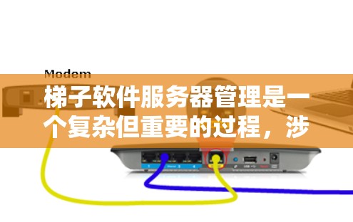 梯子软件服务器管理是一个复杂但重要的过程,涉及监控、资源分配和日志管理等多个方面。以下是对这一过程的详细总结和解析 梯子软件服务器管理是一个复杂但重要的过程,涉及监控、资源分配和日志管理等多个方面。以下是对这一过程的详细总结和解析