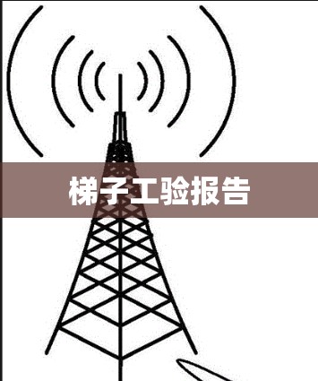 梯子工验报告